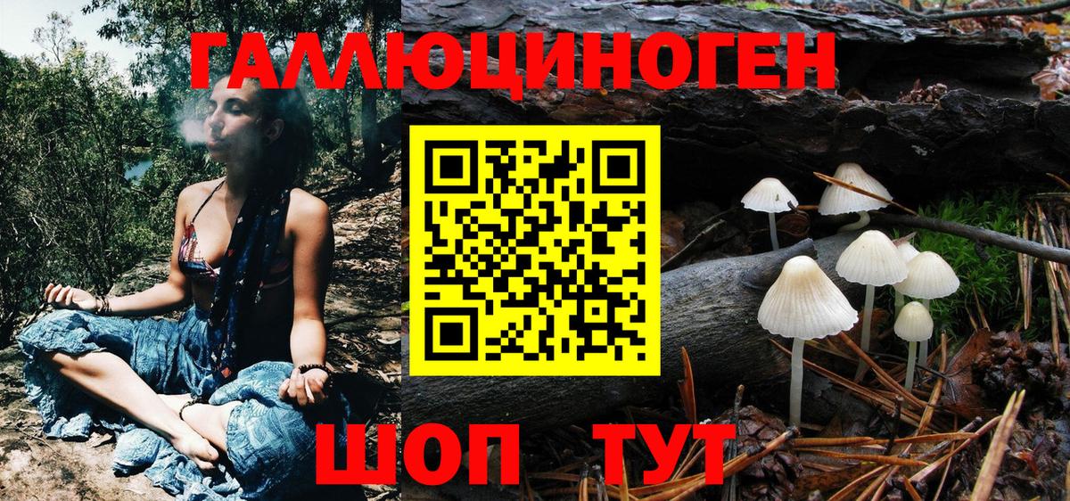 Псилоцибиновые грибы Psilocybine cubensis  наркотики  Симферополь  Вход с VPN 